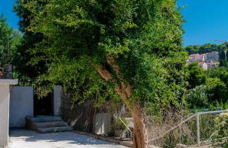 Apartment Laura - Lapad - Photo 40
