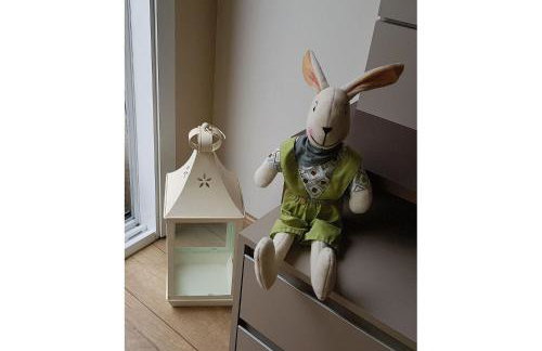 Hospeda Serra Gaúcha - Apto Capri - Foto 9