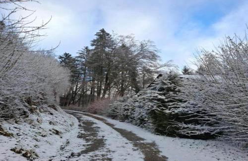 Chalet in Reinskopf With Fireplace - Foto 62