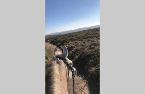 Barton Cottage - Foto 40