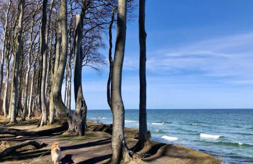 Lindenpalais Wohnung 24 - Foto 23