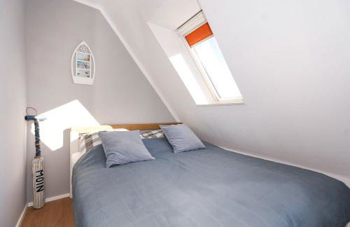 Kleiner Seestern - Foto 15