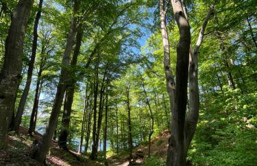 Łagów apartament z plażą i pomostem - Foto 41