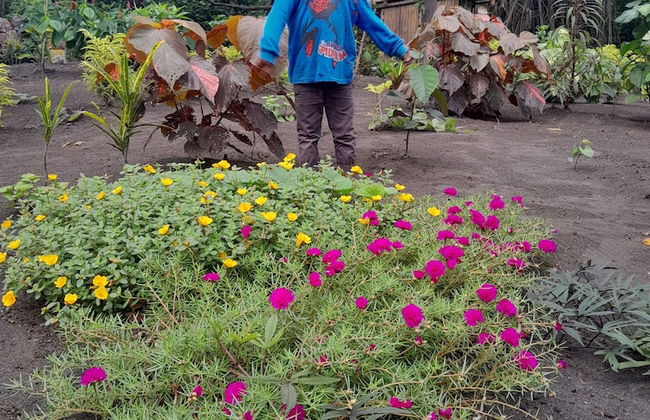 Glowing Mountain view tree house - Photo 33