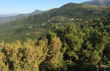 Gourgiana Apartments - Foto 33