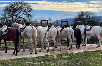 Alojamiento Casa Tía Mari - Foto 21