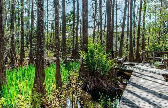 Cassine Gardens 112- 30A Imagine Ocean - Foto 34