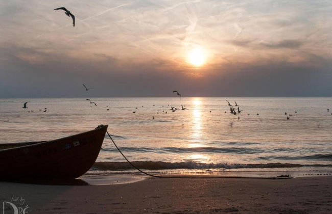 Holiday Home Egmond Near Beach - Foto 36