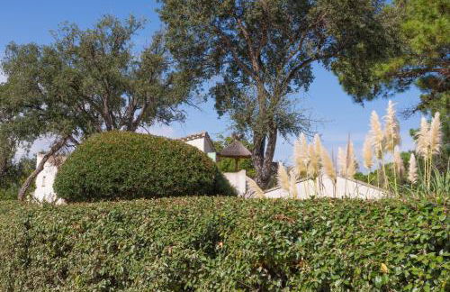 Résidence Domaine De Caranella - Foto 8