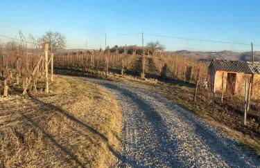 Casa a Roddi con vista sulle Colline - Foto 23
