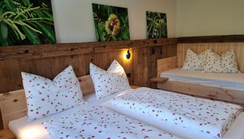 Pignathof Castanea - Foto 4