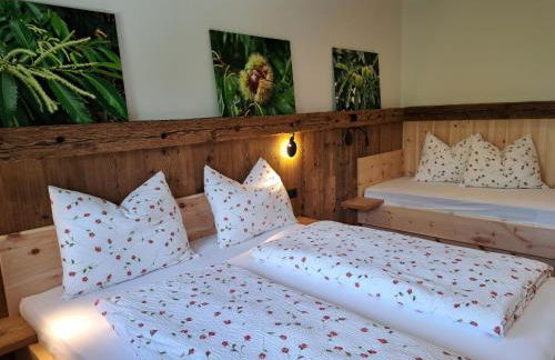 Pignathof Castanea - Foto 4