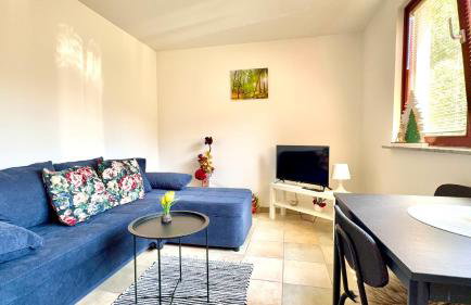 Planinski Raj House with 2 Apartments for 10 Guests - Foto 56