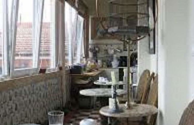 Shepinetree - Pinheira House - Foto 46