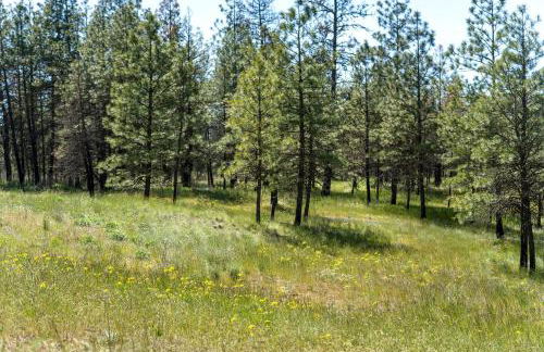 Spacious Rustic Cabin Rental with a Hot Tub in Cheney, Washington - Foto 13