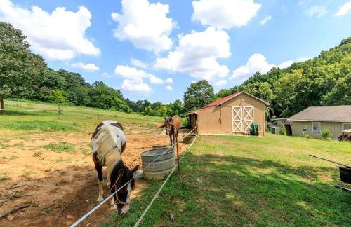 Historic Countryside Estate with Brenda Lee Heritage Near Nashville, Goodlettsville TN - Photo 75