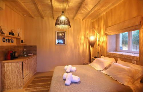 Maistrali Studio Ostria - Photo 19