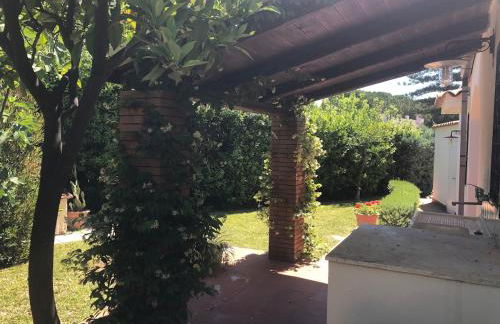 Le tre Palme - Foto 42