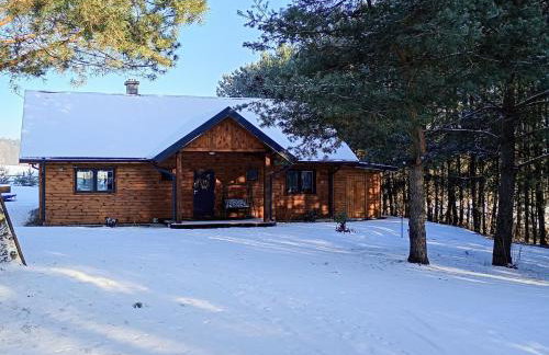 Siedlisko Radogoszcz, jacuzzi ,sauna - Foto 39