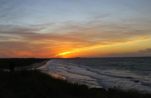Hollyhocks - Foto 25