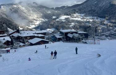 Snow Roc Mountain View - Photo 27