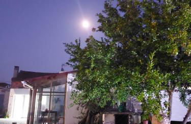 Casas Zé Pinto - Foto 29