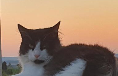 L'Atelier des Rêves - Clim - Netflix - Wifi - Jardin - Foto 22