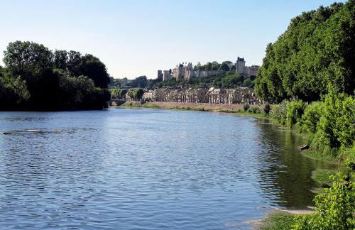 Holiday Home Les Landes du Chinonais by Interhome - Foto 34