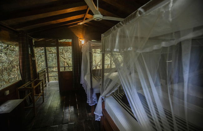 Inn On The Tree Eco Resort Sigiriya - Photo 3