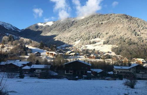 Chalet de montagne Pierre et Gaby non-fumeur hôte non professionnel - Foto 29