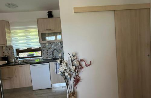 Apartments Tartuga - Photo 6