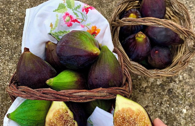 Sorelle Barnaba - Foto 16