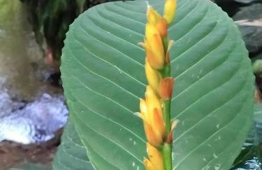 Campo e mar Bertioga - Foto 16