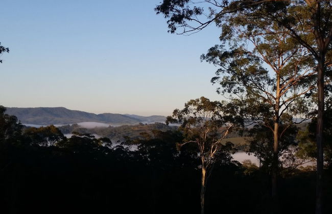 Carawirry Forest Escape - Foto 64