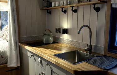 Shepherds hut, Eco, Log burner Hot tub NY moors - Foto 39