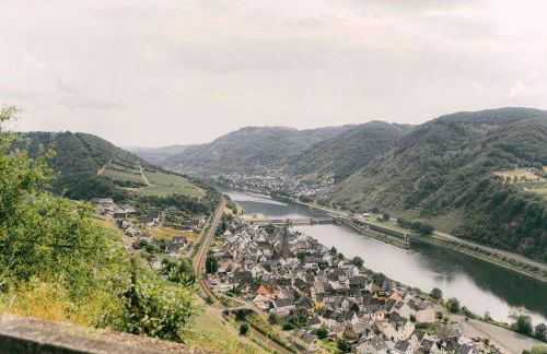 Urlaubsweingut Zecherhof - Photo 57