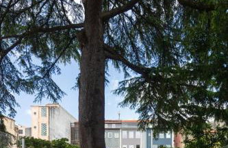 Baumhaus Serviced Living - Art & Design Apartments - Photo 14
