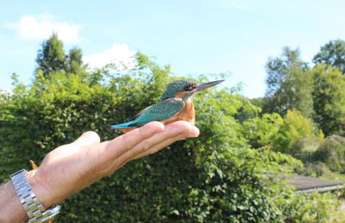 Hewletts Mill - Foto 36