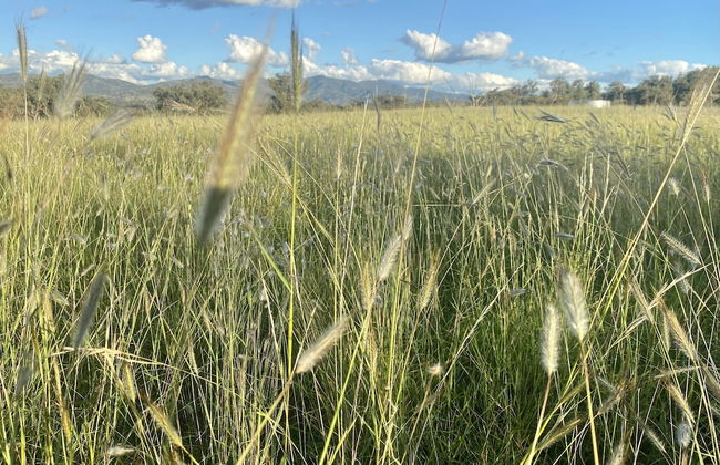 Little House in the Nursery - Foto 18