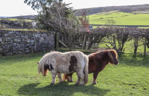 The Old Parlour - Photo 20