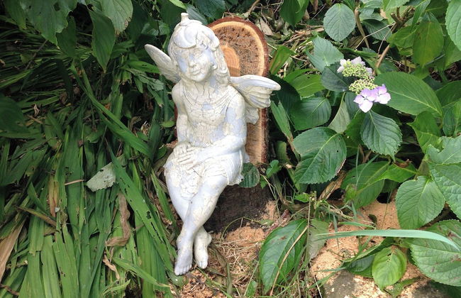 Large Sound Healing Retreat Cottage in West Wales - Foto 30