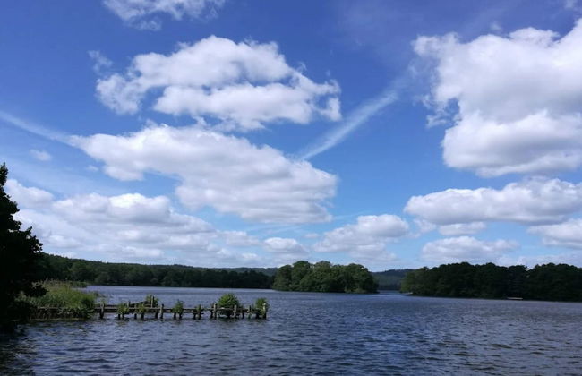 Tranquil Lakeside Retreat in Ry-by Traum - Foto 35