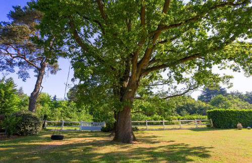 LES DRYADES MILLY - Foto 32