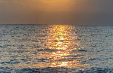 Résidence EMILIA - Foto 45