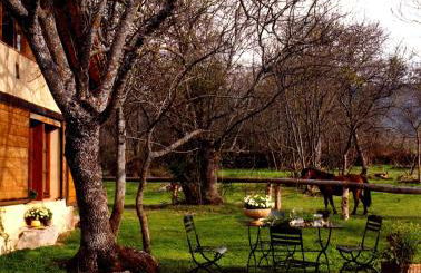 Las Casas del Palomar I & II - Photo 47