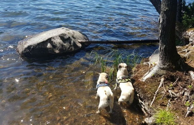 Holiday Home in the Rosbachtal - Foto 22