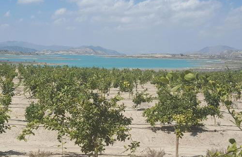 Very nice apartment with see views - Foto 29