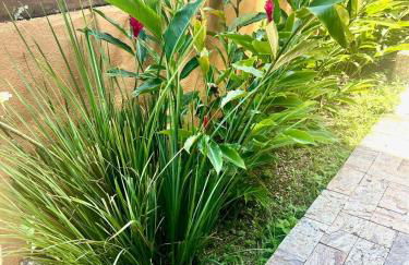 Vista dos sonhos na beira do mar de Angra com pier - Foto 2
