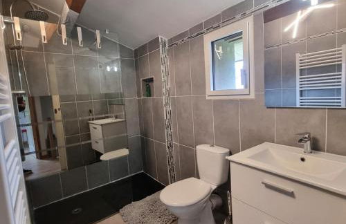 Gîte rénové avec terrasse et animaux acceptés à Saint-Chamond - FR-1-496-324 - Foto 14