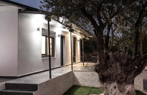 Domus Villa - Foto 23